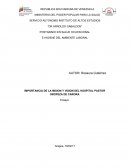 IMPORTANCIA DE LA MISION Y VISION DEL HOSPITAL PASTOR OROPEZA DE CARORA.