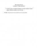 Describa las técnicas de purificación utilizadas en el artículo escogido por el grupo y explique el fundamento científico de cada una de ellas..