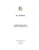 Este trabajo lo realizamos con mucho esfuerzo para dar a conocer a los compañeros y docentes sobre lo que es el ANTRAX, agradecemos a nuestros padres y familiares que con su apoyo esto no sería posible.