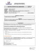 TEMA - REPORTE DE PRÁCTICA DE LABORATORIO