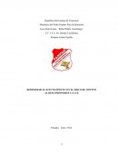 DEMOSTRAR EL EFECTO ÒPTICO CON EL DISCO DE NEWTON AL DESCOMPONERSE LA LUZ