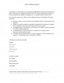 ENSAYO TENDENCIAS GLOCAL