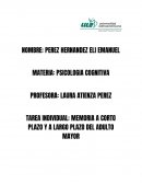Memoria- TAREA INDIVIDUAL: MEMORIA A CORTO PLAZO Y A LARGO PLAZO DEL ADULTO MAYOR