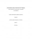 MATERIA: DERECHO MERCANTIL Y PROCESO