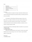 ARTICULO DE OPINION.