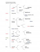 ¿En qué consiste la virtud?