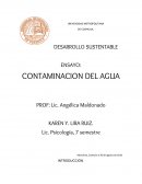 Ensayo sobre la contaminación del agua