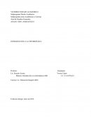 Glosario de termino.