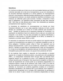 Sideroforos. Página 1