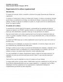 Importancia de la cultura organizacional. El sentido de la cultura