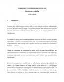 PRODUCCION Y COMERCIALIZACION DE LOS NACHOS DE CASTAÑA