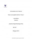 Tesina “pornografía infantil en Toluca “