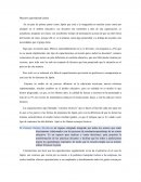 Aritmética. Maestros aprendiendo juntos