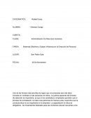 Sistemas Efectivos y Estado Influencia en la Dirección de Personal