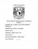 ANALISIS MICROOSCOPICO Y OBTENCION DE MICROFOTOGRAFÍAS.