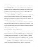 PRESENTACIÓN DE LA EMPRESA DEPHIL DELUXE