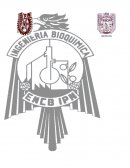 FERMENTACION ALCOHOLICA.