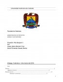 Administracion de proyectos restaurante Noa Burguer´s