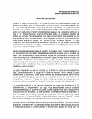 ENSAYO DINÁMICA DE GESTIÓN DE CALIDAD