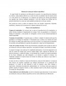 Sistema de costos por órdenes específicos