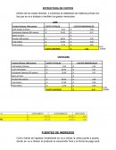 ESTRUCTURA DE COSTOS