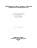 ESTUDIO DE MERCADOS PARA DETERMINAR LA VIABILIDAD DE UN NUEVO NEGOCIO DE LAVADO DE AUTOMOVILES A DOMICILIO EN LA CIUDAD DE NEIVA