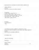 Planificación y ejecicion de la auditoría ambiental.