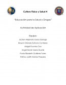 Integradora etapa 1 cultura.