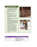 Descripcion full river: