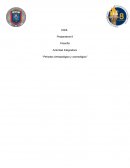 Actividad Integradora “Periodos Antropológico y cosmológico”