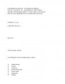 LAS CRISIS DEL CICLO FAMILIAR DE LA SRA. J.