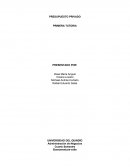 PRESUPUESTO PRIVADO PRIMERA TUTORIA