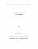 PERSPECTIVAS PARA EL ANALISIS DE COMPORTAMIENTO HUMANO