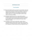 Vida Saludable. Salud mental