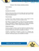 Evidencia 2: Taller, Cubicaje contenedores marítimos