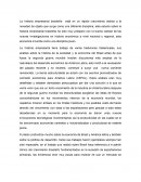 Historia empresarial brasileña