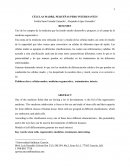 CÉLULAS MADRE, PEQUEÑAS PERO INTERESANTES