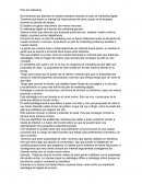 Plan de marketing. Nos tenemos que plantear si nuestra empresa necesita un plan de marketing digital