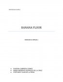 EMPRESA PRODUCTORA Y COMERCIALIZADORA DE HARINA DE PLÁTANO, BANANAFLOUR S.R.L