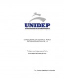 ESTRÉS LABORAL EN LA EMPRESA MEDICAL DISTRIBUIDOR MARCA S.A DE C.V.