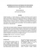 Biorremediacion de hidrocarburos