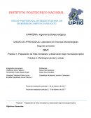 Preparación de frotis microbiano y observación bajo microscopio óptico