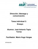 Dirección, liderazgo y comunicación. Tarea individual 3: