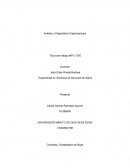 Análisis y Diagnóstico Organizacional. Título del trabajo MPC- EFE