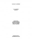 CUALES SON LAS ETAPAS DE LA INTELIGENCIA JARAMILLO