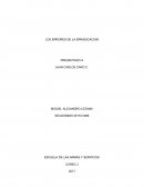 LOS ERRORES DE LA ERRADICACION