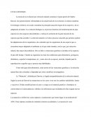 Evolucionismo - ensayo