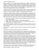 ¿Qué son los agentes económicos?