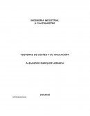 Sistemas de costeo y su aplicación