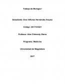 Biologia Se pueden distinguir aproximada mente 200 tipos de células diferentes en el cuerpo humano que se suelen clasificar en cuatro tipos de tejidos